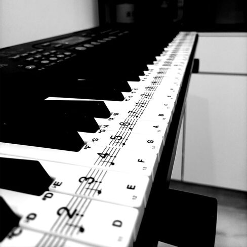 Piano Keyboard Stickers for 88/61/54/49 Key, Removable with Numbers for Beginner Piano Key Stickers for Great Children's Gift-Black in Saudi Arabia