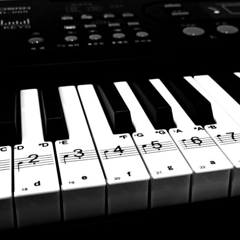 Piano Keyboard Stickers for 88/61/54/49 Key, Removable with Numbers for Beginner Piano Key Stickers for Great Children's Gift-Black in Saudi Arabia