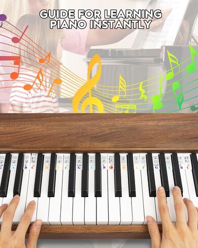 STRICH Piano Keyboard Note Labels Piano Keyboard Stickers for Beginner, 88-Key Full Size, Removable Piano Keyboard Note Labels for Learning, No Need Stickers, Reusable, Comes with Box (Rainbow Colors) in Saudi Arabia