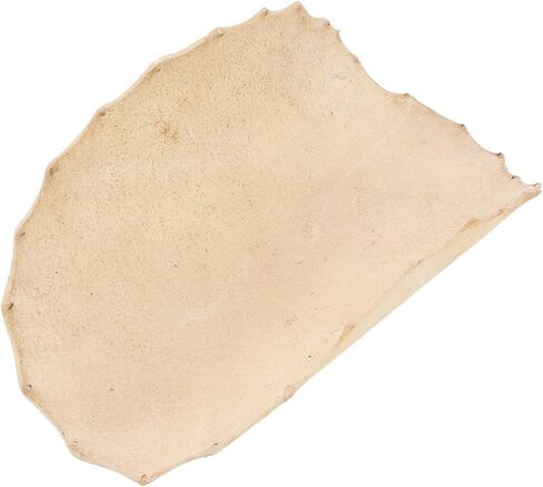 Goatskin Drum Head,Goat Skin Drum Head Bongo for Bongo Shaman Drums Djembe Replacement Parts Accessories in Saudi Arabia