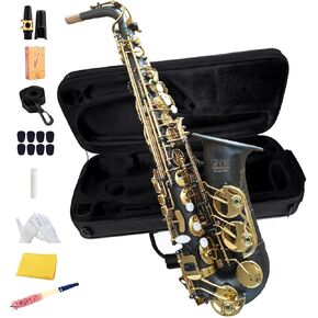 E-flat alto saxophone - box, mouthpiece, whistle, black and gold E-flat saxophone instruments