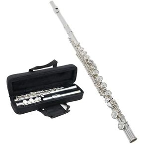 StarQuest SQ-FL250 Silver-Plated Closed-Hole C Flute - Premium Quality Instrument for Beginners and Experienced Musicians. Includes hard Protective Case