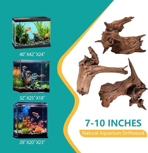 Natural Large Driftwood for Aquarium Decor Fish Tank Decorations, 9-14"（2 PCS, Reptile Decor, Assorted Sizes Driftwood Branches in Saudi Arabia