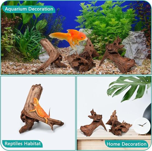 Natural Large Driftwood for Aquarium Decor Fish Tank Decorations, 9-14"（2 PCS, Reptile Decor, Assorted Sizes Driftwood Branches in Saudi Arabia