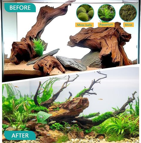 Natural Large Driftwood for Aquarium Decor Fish Tank Decorations, 9-14"（2 PCS, Reptile Decor, Assorted Sizes Driftwood Branches in Saudi Arabia