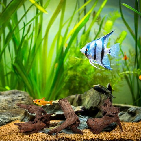 Natural Large Driftwood for Aquarium Decor Fish Tank Decorations, 9-14"（2 PCS, Reptile Decor, Assorted Sizes Driftwood Branches in Saudi Arabia