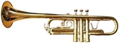 لمسة نهائية احترافية من الذهب على شكل بوق C مع علبة منزلق BB مجانية in Kuwait