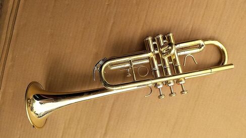 لمسة نهائية احترافية من الذهب على شكل بوق C مع علبة منزلق BB مجانية in Kuwait