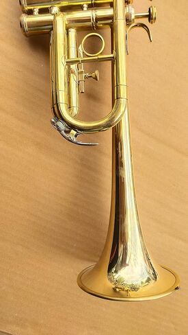 لمسة نهائية احترافية من الذهب على شكل بوق C مع علبة منزلق BB مجانية in Kuwait