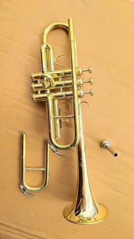 لمسة نهائية احترافية من الذهب على شكل بوق C مع علبة منزلق BB مجانية in Kuwait