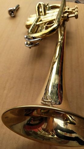 لمسة نهائية احترافية من الذهب على شكل بوق C مع علبة منزلق BB مجانية in Kuwait