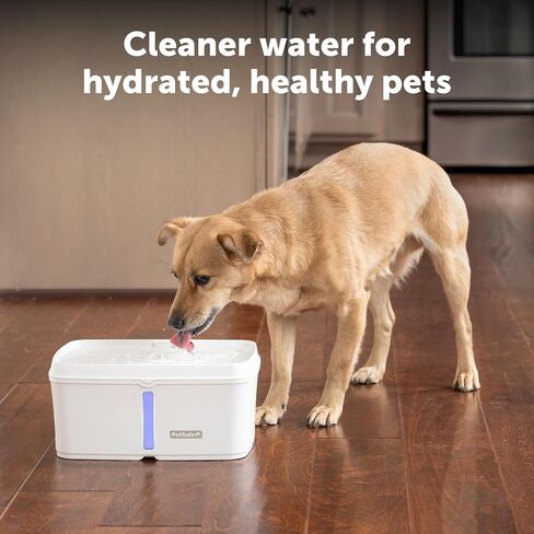 PetSafe Viva Pet Fountain for Cats and Small Dogs – 1.8L/64 oz, Indoor Stainless-Steel Pet Fountain with Whisper Quiet Pump, Dishwasher Safe, Easy to Clean, Water Filters Included in Kuwait