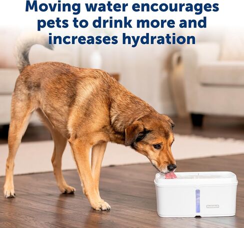 PetSafe Viva Pet Fountain for Cats and Small Dogs – 1.8L/64 oz, Indoor Stainless-Steel Pet Fountain with Whisper Quiet Pump, Dishwasher Safe, Easy to Clean, Water Filters Included in Kuwait