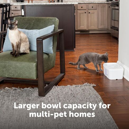PetSafe Viva Pet Fountain for Cats and Small Dogs – 1.8L/64 oz, Indoor Stainless-Steel Pet Fountain with Whisper Quiet Pump, Dishwasher Safe, Easy to Clean, Water Filters Included in Kuwait