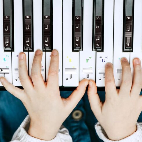 3 مجموعات من ملصقات لوحة مفاتيح البيانو لمفتاح 88/61/49/37، حروف لوحة مفاتيح البيانو قابلة للإزالة، ملصقات ملاحظات لوحة مفاتيح البيانو للمبتدئين (اللون + أسود) in Kuwait