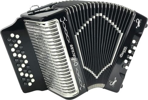 حزمة Alacran AL3112 Accordion: 31 زرًا، 12 Bass Accordion مع علبة صلبة وأشرطة قابلة للتعديل (Fa/FBE، أسود لامع) in Kuwait