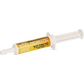 FullBucket Foal Probiotic Paste (Single)