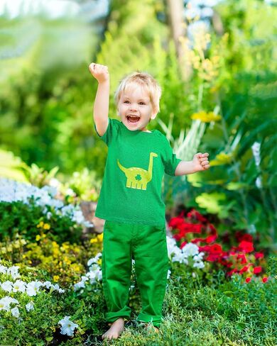 2 Pieces St Patricks Day Shirts Kids Clover Irish T-Shirt Dinosaur Shamrock Boys Girls St Patricks Day T-Shirt Green Irish Shirt Toddler Infant in Saudi Arabia