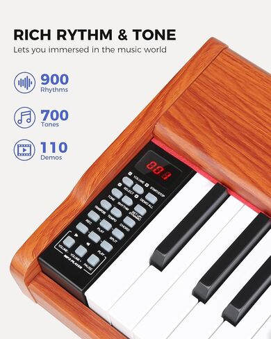 Fesley Weighted Piano Keyboard 88 Keys: Full Size Electric Keyboard Piano for Beginners, Portable 88 Key Keyboard with Daul Speaker,Sustain Pedal,Power Adapter,Support Bluetooth,USB MIDI,FEP300,Black in Saudi Arabia