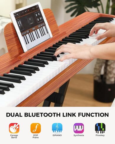 Fesley Weighted Piano Keyboard 88 Keys: Full Size Electric Keyboard Piano for Beginners, Portable 88 Key Keyboard with Daul Speaker,Sustain Pedal,Power Adapter,Support Bluetooth,USB MIDI,FEP300,Black in Saudi Arabia