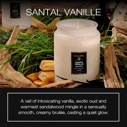 Voluspa Apple Blue Clover, Large Candle Jar, 18 oz, 100 Hour Burn Time, All Natural Wicks and Coconut Wax for Clean Burning, Vegan, Poured in the USA in Saudi Arabia
