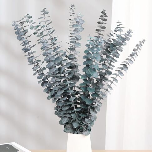 16 Pcs Dried Eucalyptus Stems, 17'' Natural Fresh Eucalyptus Leaves Branches Hanging for Shower, Preserved Real Eucalyptus Plant Live Greenery for Home SPA Wall Bathroom Wedding Party Vase Decor in Saudi Arabia