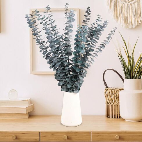 16 Pcs Dried Eucalyptus Stems, 17'' Natural Fresh Eucalyptus Leaves Branches Hanging for Shower, Preserved Real Eucalyptus Plant Live Greenery for Home SPA Wall Bathroom Wedding Party Vase Decor in Saudi Arabia