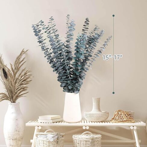 16 Pcs Dried Eucalyptus Stems, 17'' Natural Fresh Eucalyptus Leaves Branches Hanging for Shower, Preserved Real Eucalyptus Plant Live Greenery for Home SPA Wall Bathroom Wedding Party Vase Decor in Saudi Arabia