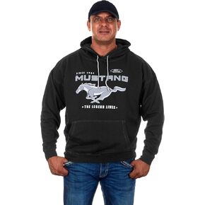 JH DESIGN GROUP mens Hoodie