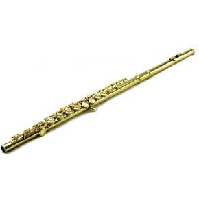 Sky C Flute with Lightweight Case, Cleaning Rod, Cloth, Joint Grease and Screw Driver - Gold/Gold Closed Hole