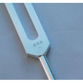 D 288 HZ Unweighted Tuning Fork