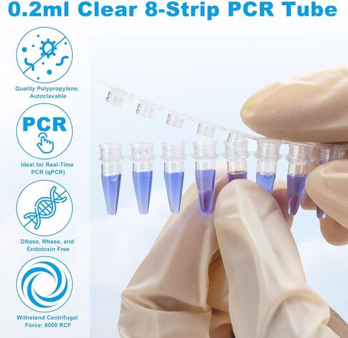أنابيب PCR شفافة مكونة من 8 أشرطة سعة 0.1 مل، أنابيب ذات أغطية مسطحة، 125 مجموعة/حزمة، أنابيب تفاعل PCR ذات جدار رفيع للغاية، أنبوب طرد مركزي دقيق من مادة البولي بروبيلين، خالي من DNase/RNase in Kuwait