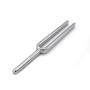 EISCO Steel Tuning Fork - Frequency 256hz