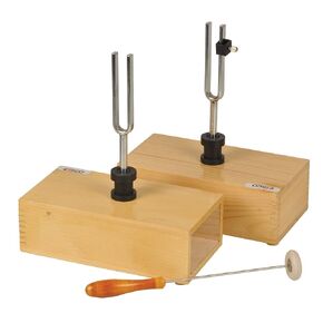 Eisco Labs Pair of Steel Tuning Forks (440Hz) in Wood Bases, One Adjustable
