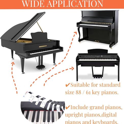 Upgraded Removable Piano Keyboard Stickers for Beginner Learning Kids,88-Key Full Size,No Need Stick, Reusable,Rainbow Color Bigger Letter with Keyboard Black Note Guide Standing Labels in Saudi Arabia
