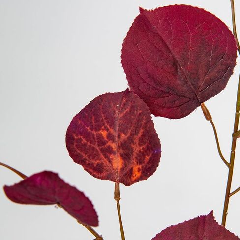 3 قطع 32 بوصة من أوراق القيقب الاصطناعية أغصان الخريف الصناعية الطويلة من أوراق الخريف نباتات وهمية بورجوندي بخاخات صناعية لطاولة وحدة التحكم في المطبخ وتزيين ترتيب الزهور in Kuwait