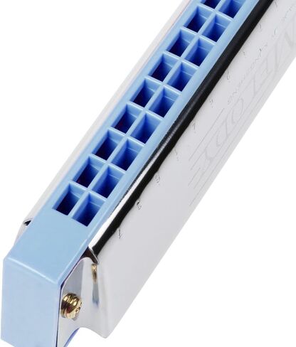 Harmonica Polyphony 24 Hole Key of C Prime for Children, Student, Adult beginner in Saudi Arabia