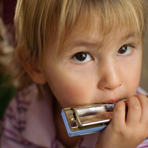 Harmonica Polyphony 24 Hole Key of C Prime for Children, Student, Adult beginner in Saudi Arabia