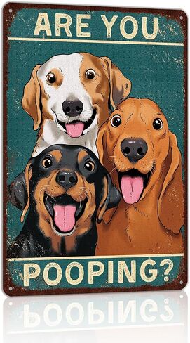 Vintage Bathroom Signs Decor Bathroom Pictures Wall Decor Cat Decor Metal Wall Art in Saudi Arabia