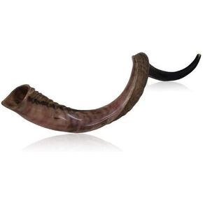Half-Polished Finish Yemenite Kudu Horn Shofar