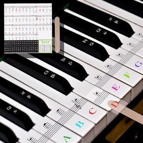 Piano Keyboard Stickers 88/76/61/54/49/37 Keys,Removable Piano Keyboard Note Labels Piano Key Stickers (Multicolour)