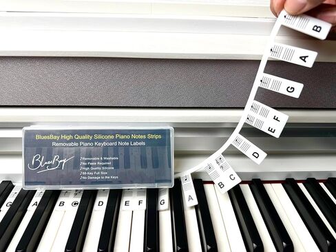 Removable Piano Keyboard Note Labels for Beginners, 88 Key Full Size, Reusable Silicone, No Need Stickers, Comes with Box (Rainbow) in Saudi Arabia