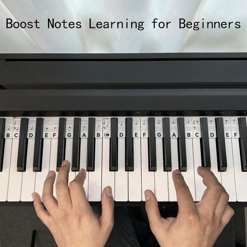 Removable Piano Keyboard Note Labels for Beginners, 88 Key Full Size, Reusable Silicone, No Need Stickers, Comes with Box (Rainbow) in Saudi Arabia