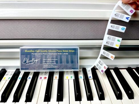 Removable Piano Keyboard Note Labels for Beginners, 88 Key Full Size, Reusable Silicone, No Need Stickers, Comes with Box (Rainbow) in Saudi Arabia