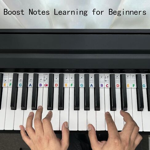 Removable Piano Keyboard Note Labels for Beginners, 88 Key Full Size, Reusable Silicone, No Need Stickers, Comes with Box (Rainbow) in Saudi Arabia