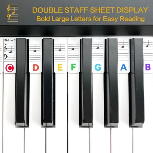 Removable Piano Keyboard Note Labels for Beginners, 88 Key Full Size, Reusable Silicone, No Need Stickers, Comes with Box (Rainbow) in Saudi Arabia