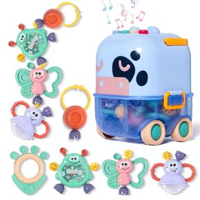 Baby Rattle, Infant Rattles Toys for Babies 0-6 Months Teething, Baby Rattle Toys 0-6 Months, Baby Rattles Toy Set with Music, Newborn Boy Girl Rattles Toys for 0-3-6-12 Months(5 PCS)