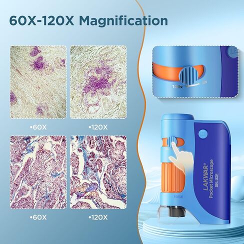 60x-120x Mini Pocket Microscope for Kids Adults, Portable Handheld Microscope with 5 Microscope Slides, Miniscope for Kids Adults Science Lab (Green) in Saudi Arabia
