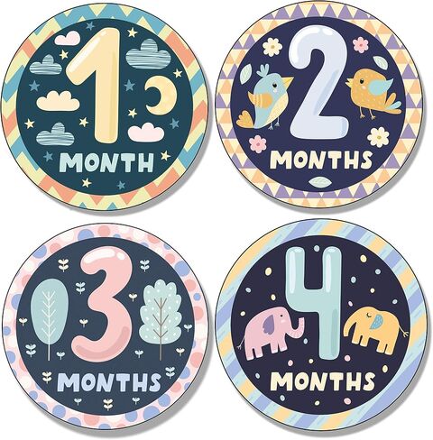 Friendly Animals Baby Monthly Stickers. 12 Large, Adorable Style Animal and Nature Designs for The First 12 Months. Ideal as a Gift for Baby Shower in Saudi Arabia