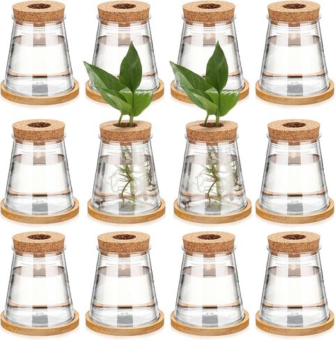 12 Packs Plastic Desktop Plant Terrariums Propagation Planter Water Station Tabletop Planting Vase with Lid and Bamboo Stand for Growing Hydroponic Home Office Table Decoration, 2.5 x 4 Inch in Kuwait